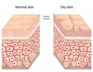 gehydrateerde huid